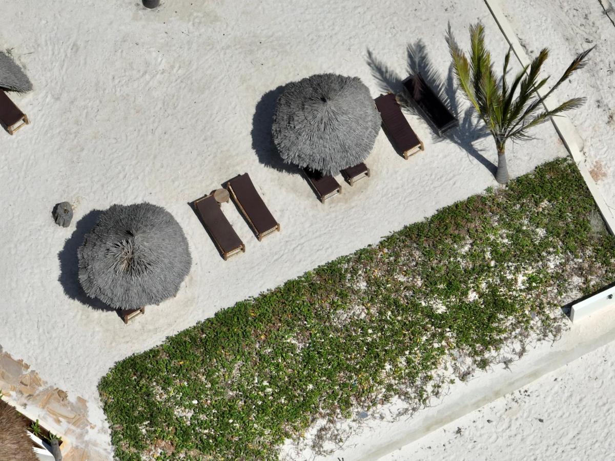 ホテル Zula Zanzibar パジェ エクステリア 写真